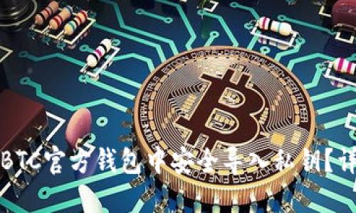如何在BTC官方钱包中安全导入私钥？详尽指南