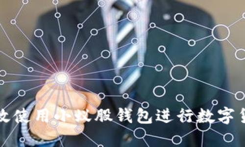  如何高效使用小蚁股钱包进行数字货币投资？