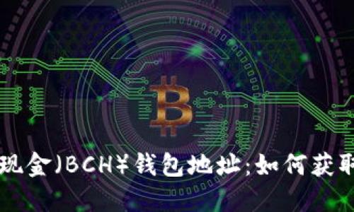 比特币现金（BCH）钱包地址：如何获取和使用