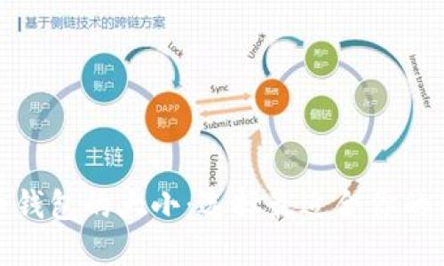: 比特币钱包的大小：选择最适合你的钱包方案