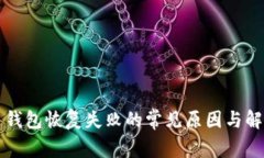 比特币钱包恢复失败的常
