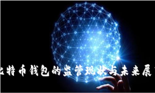 比特币钱包的监管现状与未来展望