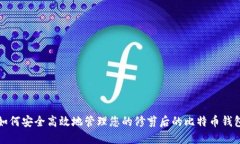 如何安全高效地管理您的修剪后的比特币钱包