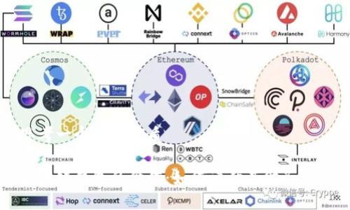 思考一个且的优质

区块链钱包的价值：如何评估其财务潜力