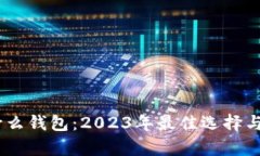 USDT存什么钱包：2023年最佳选择与优势分析