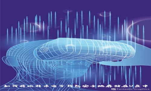 如何将比特币电子钱包安全地存储在U盘中