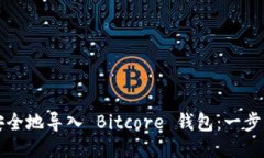 如何安全地导入 Bitcore 钱包：一步步指南