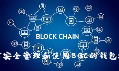 如何安全管理和使用BGC的钱包地址