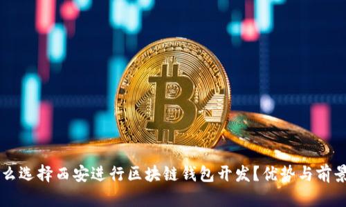 为什么选择西安进行区块链钱包开发？优势与前景分析
