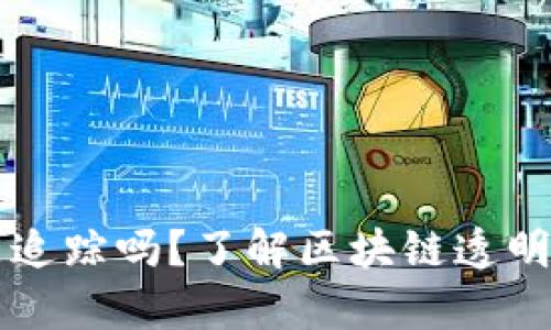 以太坊钱包能追踪吗？了解区块链透明性的背后真相