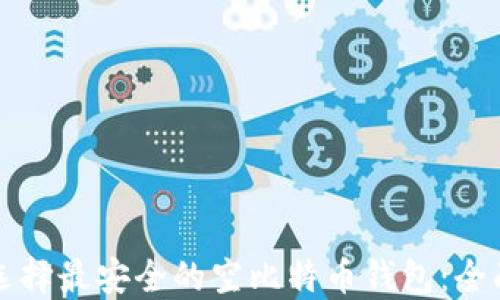 
如何选择最安全的空比特币钱包：全面指南