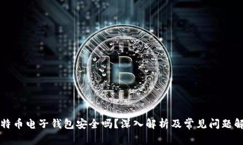 比特币电子钱包安全吗？深入解析及常见问题解答
