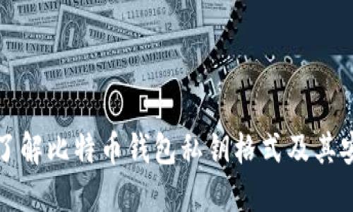 深入了解比特币钱包私钥格式及其安全性