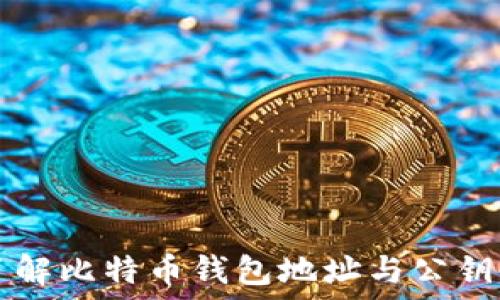  
深入了解比特币钱包地址与公钥的关系
