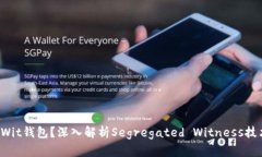 什么是SegWit钱包？深入解析Segregated Witness技术及