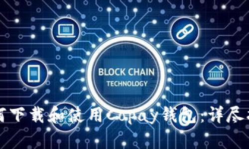 如何下载和使用Copay钱包：详尽指南