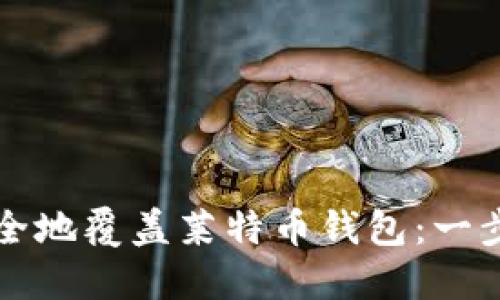 如何安全地覆盖莱特币钱包：一步步指南