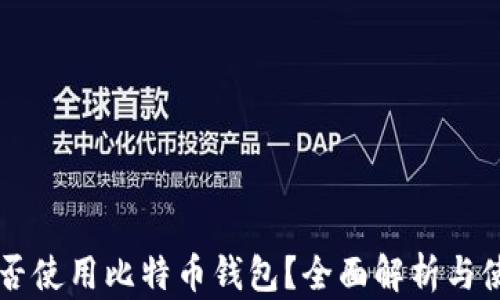 
国内能否使用比特币钱包？全面解析与使用指南