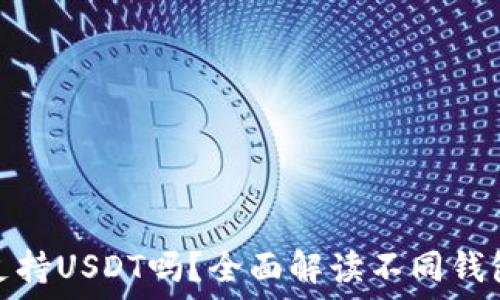  
比特币钱包支持USDT吗？全面解读不同钱包的支持情况