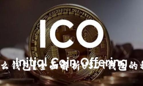 USDT是什么钱包？全面解析USDT钱包的种类与使用