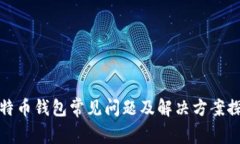 比特币钱包常见问题及解决方案探讨