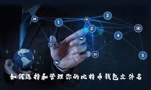 如何选择和管理你的比特币钱包文件名